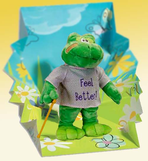 Feel-Better-Hoppy-the-Frog-