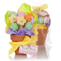 Mother's-Day-Flower-Pot-of-Edible-cookies