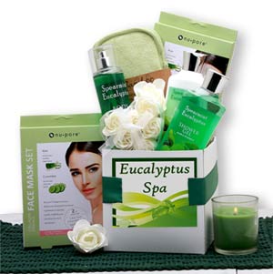 Eucalyptus-Spa-Care-Package