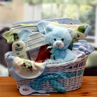 Deluxe-Organic-New-Baby-Gift-Basket-'-Blue