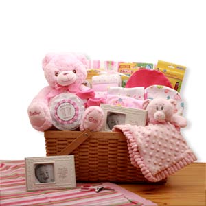 My-First-Teddy-Bear-New-Baby-Gift-Basket-'-Pink
