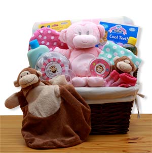 A-New-Little-Monkey-New-Baby-Gift-Basket-'-Pink