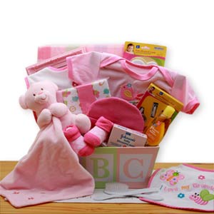 Easy-as-ABC-New-Baby-Gift-Basket-'-Pink
