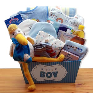 A-Special-Delivery-New-Baby-Gift-Basket-'-Blue