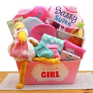 A-Special-Delivery--New-Baby-Gift-Basket'-Pink