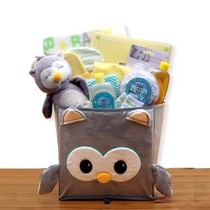 A-Little-Hoot-New-Baby-Gift-Basket