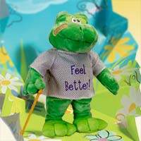 Feel-Better-Hoppy-the-Frog-